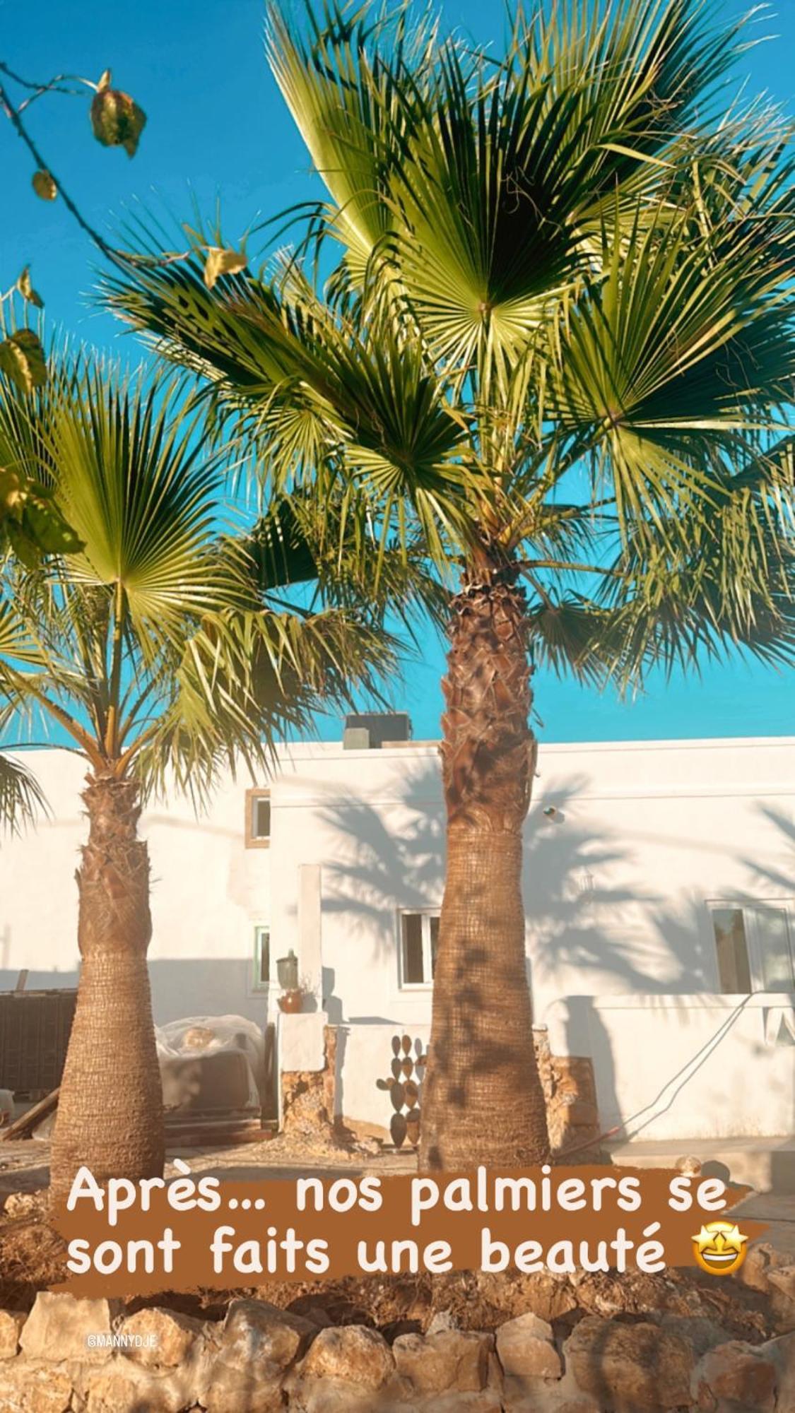 La Quinta Da Liberdade - Ferme De Charme En Algarve Villa Pechao Ngoại thất bức ảnh