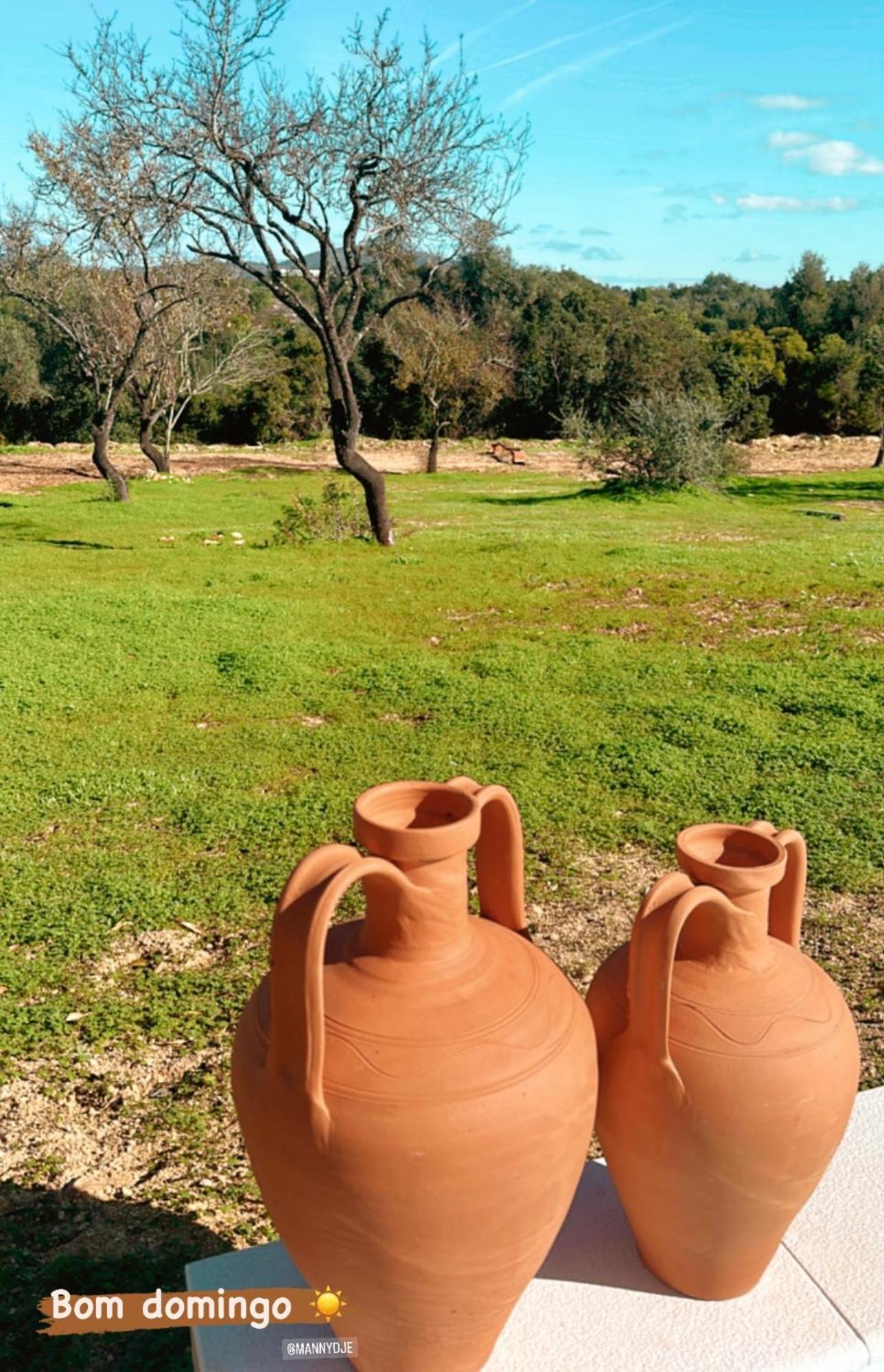 La Quinta Da Liberdade - Ferme De Charme En Algarve Villa Pechao Ngoại thất bức ảnh