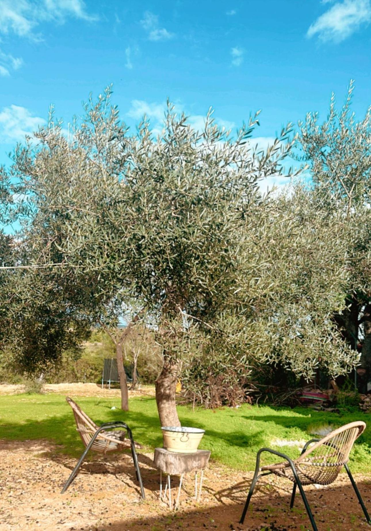 La Quinta Da Liberdade - Ferme De Charme En Algarve Villa Pechao Ngoại thất bức ảnh
