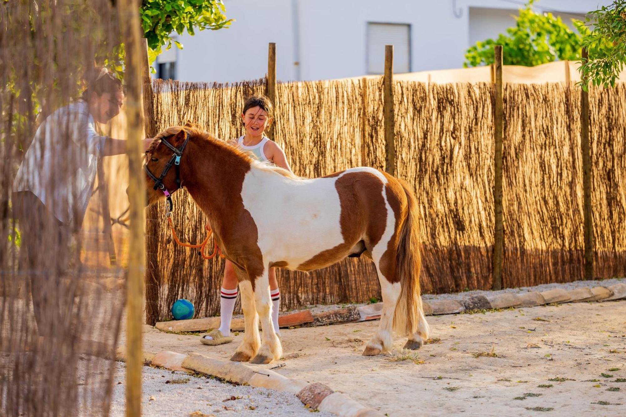 La Quinta Da Liberdade - Ferme De Charme En Algarve Villa Pechao Ngoại thất bức ảnh