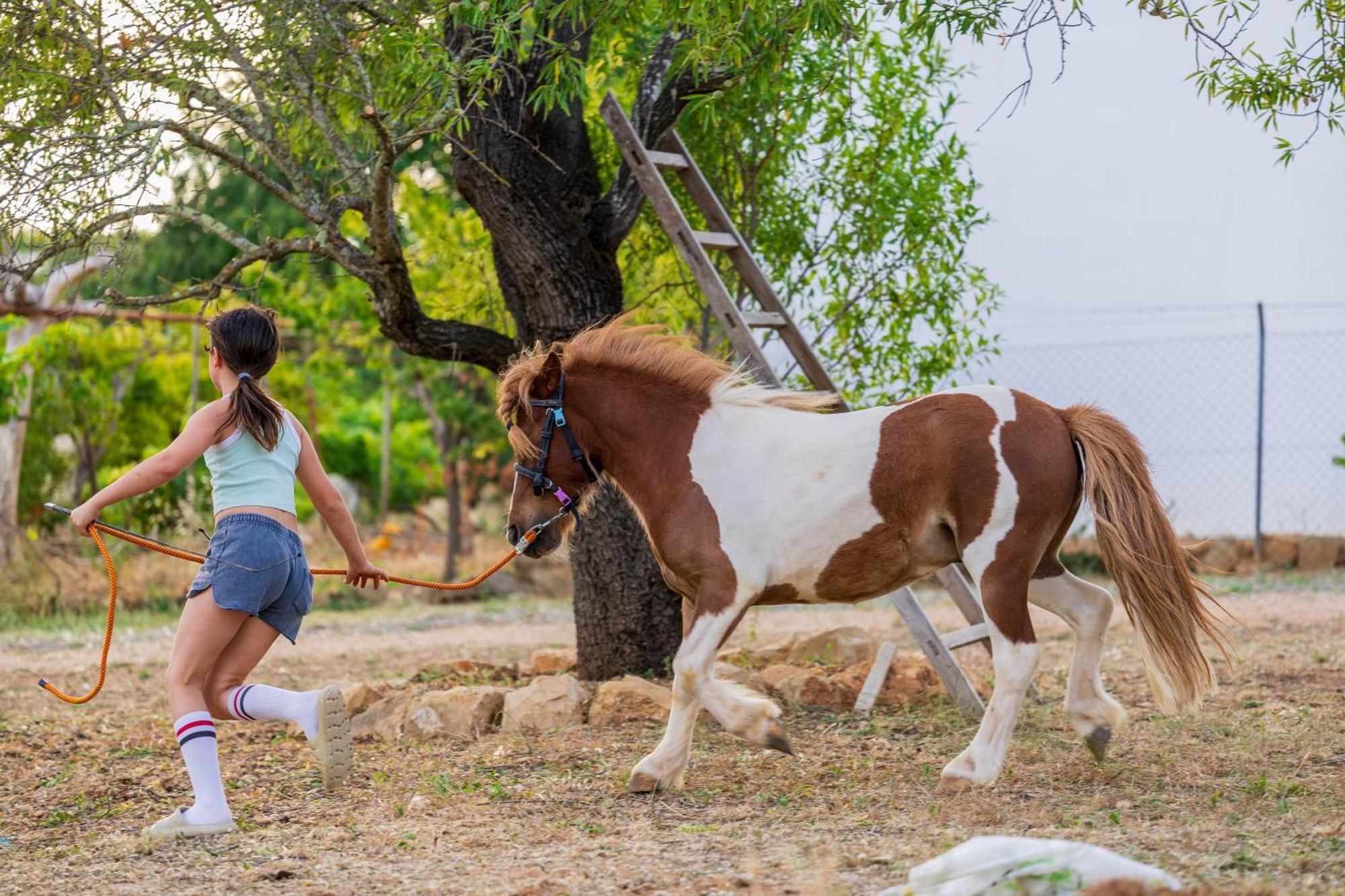 La Quinta Da Liberdade - Ferme De Charme En Algarve Villa Pechao Ngoại thất bức ảnh