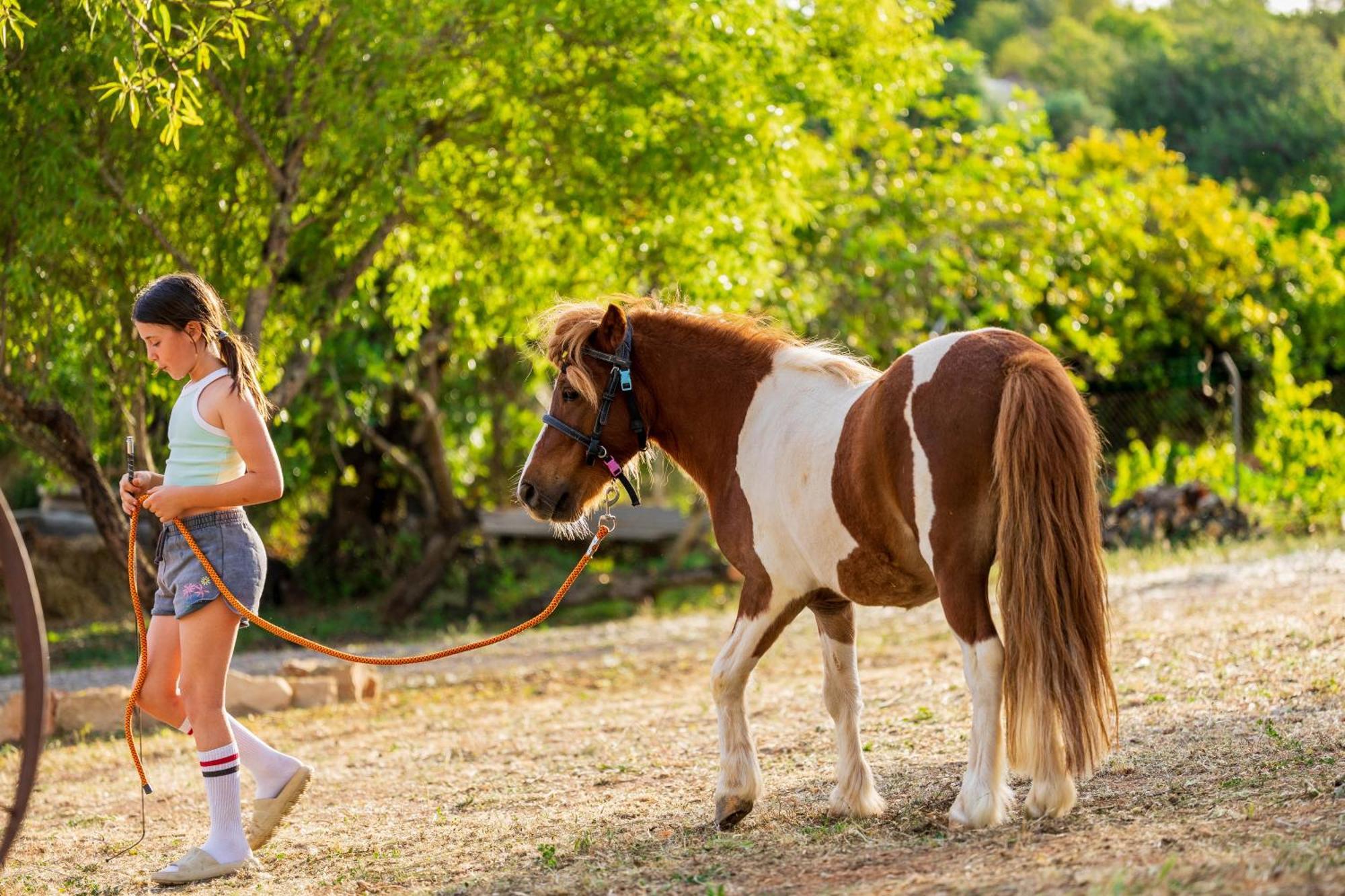 La Quinta Da Liberdade - Ferme De Charme En Algarve Villa Pechao Ngoại thất bức ảnh